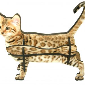 Chat bengal